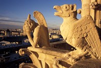 Gargoyles of the Notre Dame Cathedral, Paris, France Fine Art Print