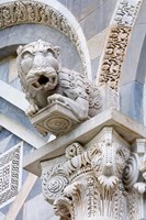 Gargoyle of Duomo Pisa, Pisa, Italy Fine Art Print