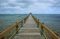 Long wooden pier, Coral Coast, Fiji, South Pacific Fine Art Print