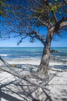 Hammock on the beach of a resort, Nacula Island, Yasawa, Fiji, South Pacific Fine Art Print