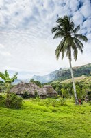 Traditional thatched roofed huts in Navala in the Ba Highlands of Viti Levu, Fiji, South Pacific Fine Art Print