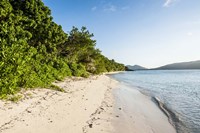 White sandy beach, Fiji Fine Art Print