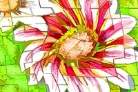 Floral Twist II Fine Art Print