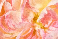 A New Perspective Framed Print