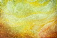 Subtle Petals Framed Print