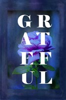 Grateful Fine Art Print