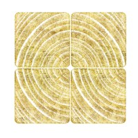 Tree Ring Triptych I Framed Print