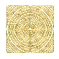 Tree Ring Triptych II Framed Print