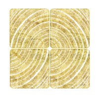 Tree Ring Triptych III Framed Print