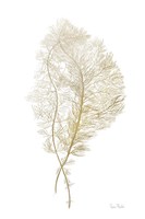 Fern Algae Gold on White Fine Art Print