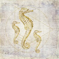 Seahorse Geometric Gold Fine Art Print