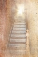 Vintage Study Fine Art Print