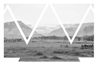 Cattle Country Fine Art Print