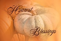 Harvest Blessings II Framed Print