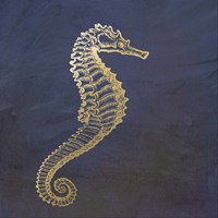 Golden Seahorse Fine Art Print