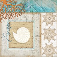 Coastal Nautilus Shell Framed Print