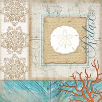 Coastal Sand Dollar Fine Art Print