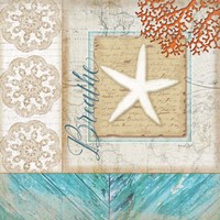 Coastal Starfish Framed Print