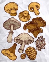 Mushroom Variation Fine Art Print