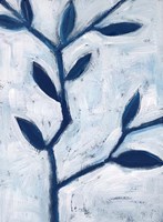 Blue and White II Fine Art Print