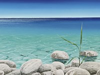 Trasparenza Fine Art Print