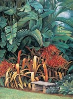 Tropical Garden II Fine Art Print