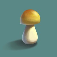 Mushroom on Teal Background Part II Fine Art Print