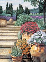 Provence Afternoon II Fine Art Print