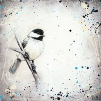 Chickadee Fine Art Print