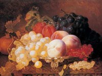 Still Life of Fruits Fine Art Print