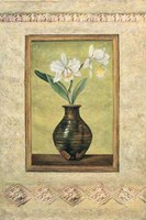 Umbrian Still Life II Fine Art Print