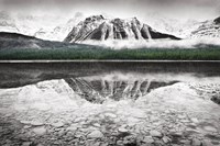 Waterfowl Lake I BW with Color Fine Art Print