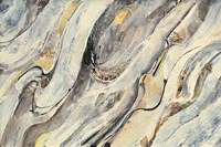 Golden Falls Fine Art Print