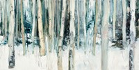 Winter Woods III Fine Art Print
