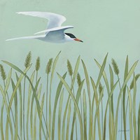 Free as a Bird I Fine Art Print