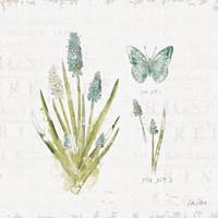 In the Forest VII Fine Art Print