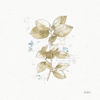 Floresta III Fine Art Print