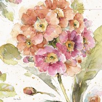 Country Bloom VI Fine Art Print