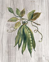 Market Vegetables II Framed Print