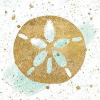 Silver Sea Life Aqua Sanddollar Fine Art Print