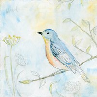 Sketched Songbird II Fine Art Print