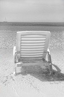 Front Row Seat Fine Art Print