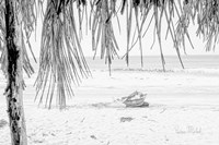 Beached Up Fine Art Print