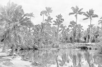 In Let Beach Fine Art Print