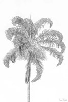 Swaying Palm III Framed Print