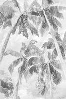 Swaying Palms IV Framed Print