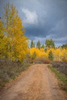 Stormy Road Fine Art Print