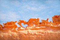 The Fins II Framed Print