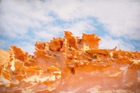 The Fins III Framed Print