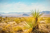 Utah Desert Yucca Fine Art Print